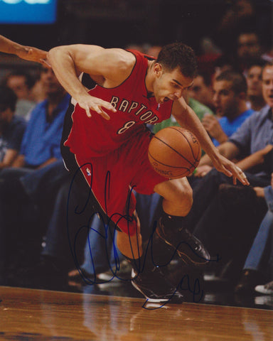 JOSE CALDERON SIGNED TORONTO RAPTORS 8X10 PHOTO