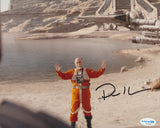 PAUL SUN-HYUNG LEE SIGNED THE MANDALORIAN 8X10 PHOTO 4 ACOA