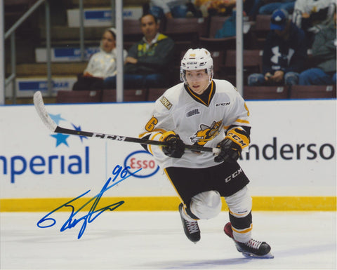 TY VOIT SIGNED SARNIA STING 8X10 PHOTO 2