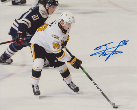 TY VOIT SIGNED SARNIA STING 8X10 PHOTO
