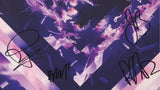 SILVERSTEIN SIGNED A BEAUTIFUL PLACE TO DROWN VINYL RECORD JSA