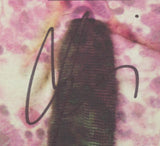 SOCCER MOMMY SOPHIA ALLISON SIGNED SOMETIMES, FOREVER VINYL RECORD JSA