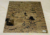 BEN HOWARD SIGNED NOONDAY DREAM 12X12 PHOTO ACOA