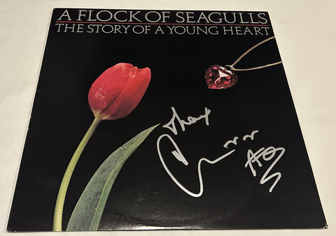 MIKE SCORE SIGNED A FLOCK OF SEAGULLS THE STORY OF A YOUNG HEART VINYL RECORD JSA