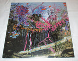 ANIMAL COLLECTIVE SIGNED HERE COMES THE INDIAN VINYL RECORD