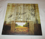 HEY ROSETTA! SIGNED SEEDS VINYL RECORD