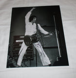 PETE TOWNSHEND SIGNED THE WHO 11X14 PHOTO