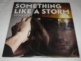 MATTHEW GOOD SIGNED SOMETHING LIKE A STORM VINYL RECORD JSA