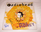 RADIOHEAD SIGNED PABLO HONEY VINYL RECORD