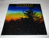 MIKE ROSENBERG SIGNED PASSENGER ALL THE LITTLE LIGHTS 12X12 PHOTO