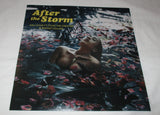 KALI UCHIS SIGNED AFTER THE STORM 12X12 PHOTO