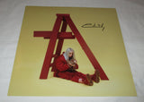 BILLIE EILISH SIGNED DONT SMILE AT ME 12X12 PHOTO