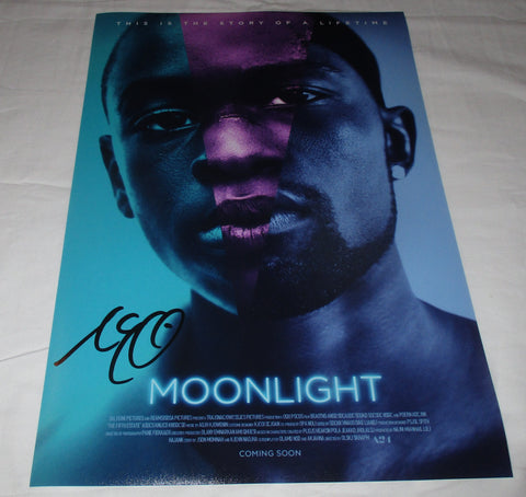MAHERSHALA ALI SIGNED MOONLIGHT 12X18 MOVIE POSTER