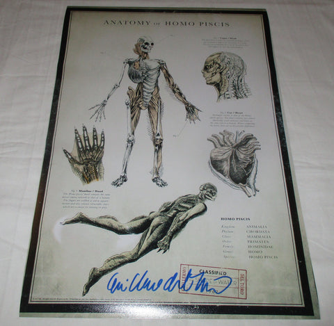 GUILLERMO DEL TORO SIGNED THE SHAPE OF WATER 12X18 MOVIE POSTER 3