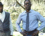 STERLING K. BROWN SIGNED THIS IS US 8X10 PHOTO ACOA