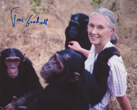 DR. JANE GOODALL SIGNED 8X10 PHOTO 3