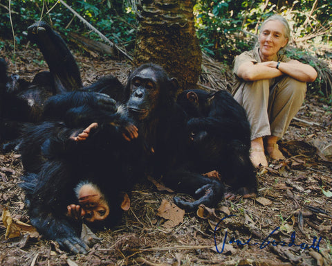 DR. JANE GOODALL SIGNED 8X10 PHOTO 6