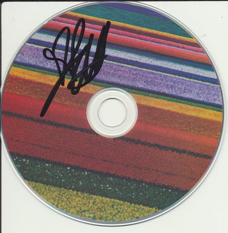 DALLAS GREEN SIGNED CITY AND COLOUR LITTLE HELL CD DISK