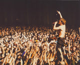 MATT SHULTZ SIGNED CAGE THE ELEPHANT 8X10 PHOTO 4