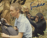 DR. JANE GOODALL SIGNED 8X10 PHOTO 5