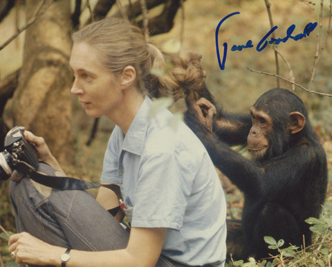 DR. JANE GOODALL SIGNED 8X10 PHOTO 5