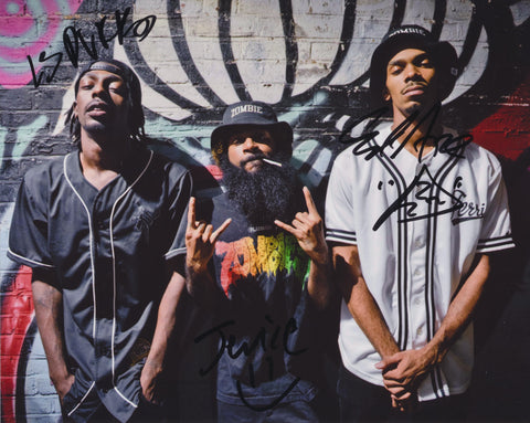 FLATBUSH ZOMBIES SIGNED 8X10 PHOTO