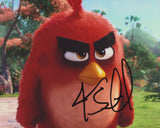 JASON SUDEIKIS SIGNED ANGRY BIRDS 8X10 PHOTO 2