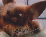 HOWIE MANDEL SIGNED GREMLINS 8X10 PHOTO 8