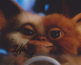 HOWIE MANDEL SIGNED GREMLINS 8X10 PHOTO 9